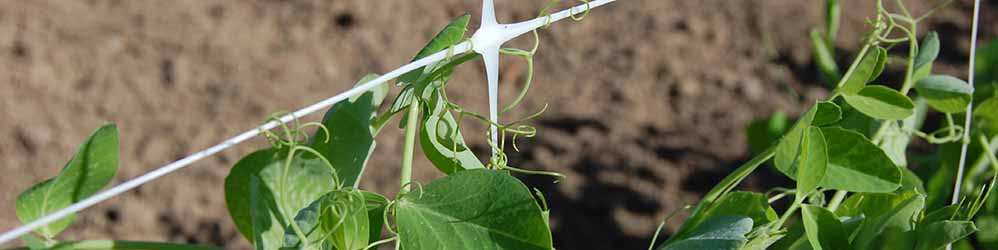 #htmlcaption1 Mallas para floricultura y horticultura