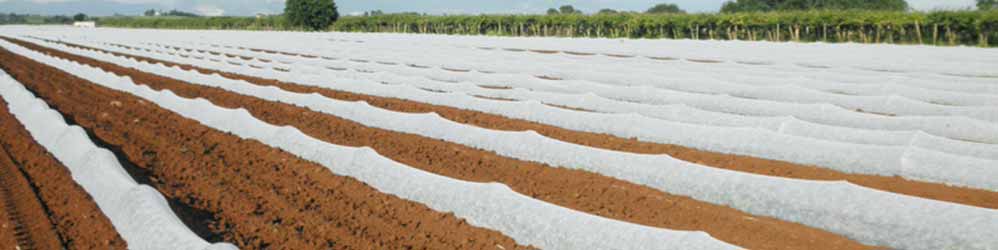 #htmlcaption5 Velo protector: Protege los cultivos, crea un microclima ideal para un crecimiento de las plantas